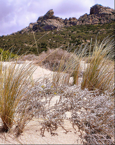 Classical Corsica